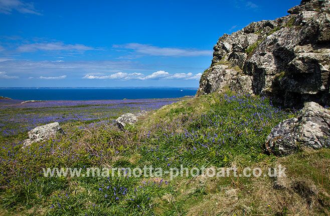 Click to See Next Image