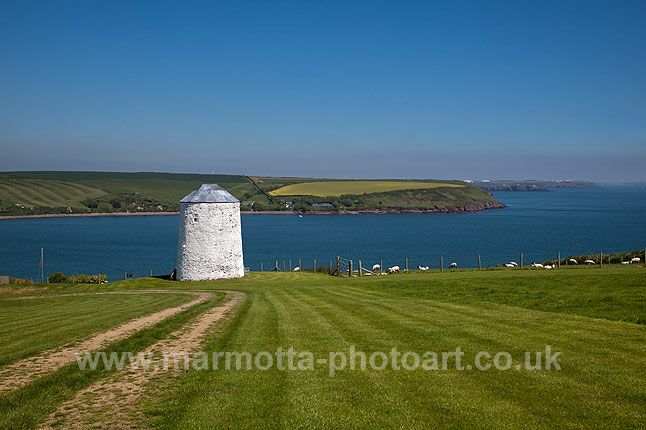 Click to See Next Image