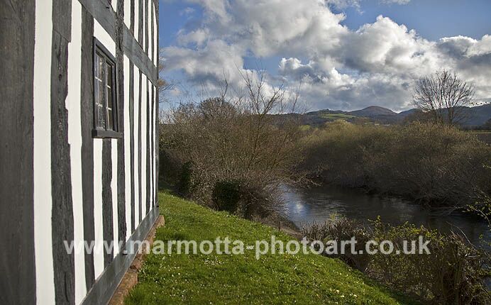 Click to See Next Image