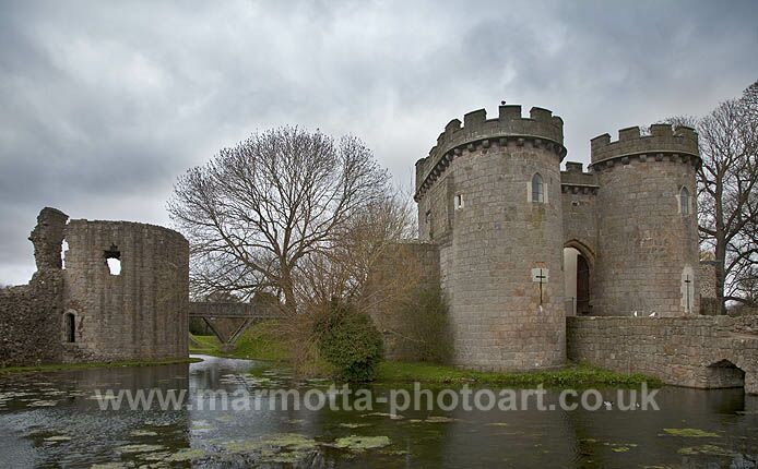 Click to See Next Image