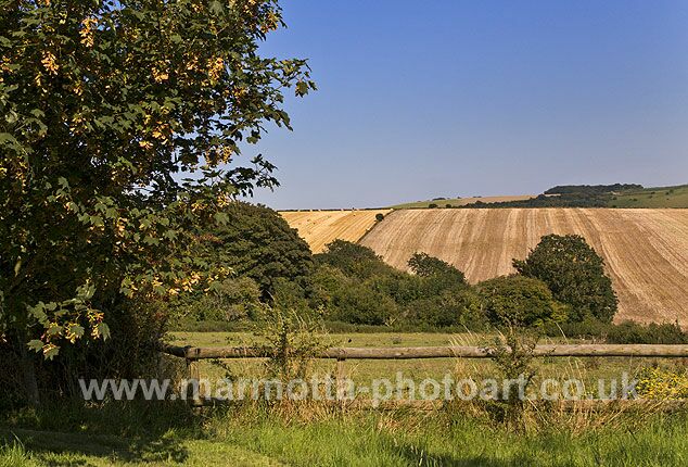 Click to See Next Image