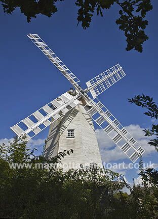 Click to See Next Image