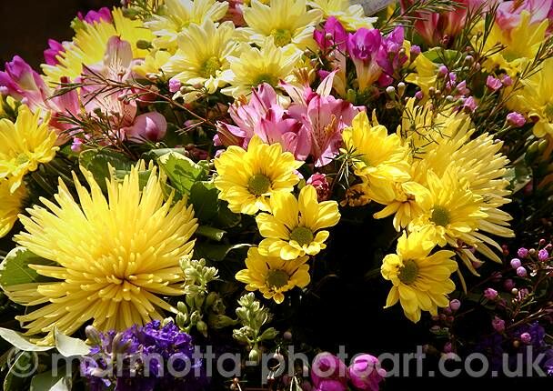 Click to See Next Image