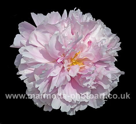 Click to See Next Image