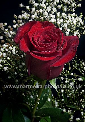 Click to See Next Image