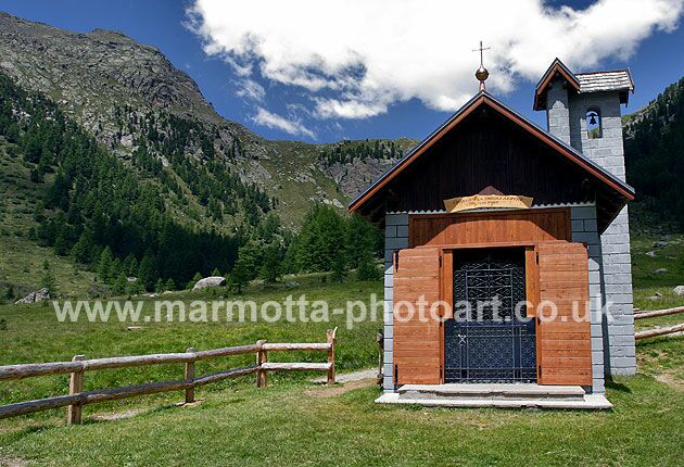 Click to See Next Image