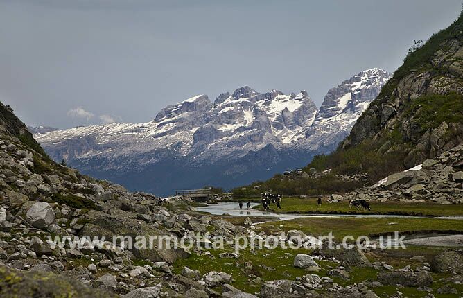 Click to See Next Image