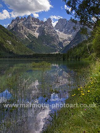 Click to See Next Image