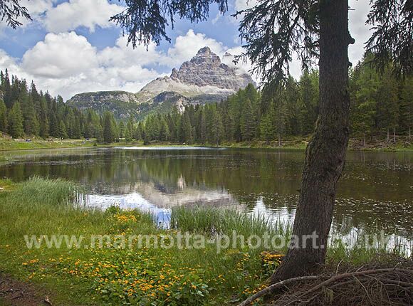 Click to See Next Image