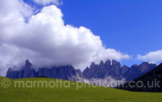 Click to See Next Image