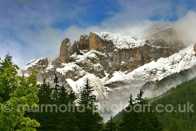 Click to See Next Image