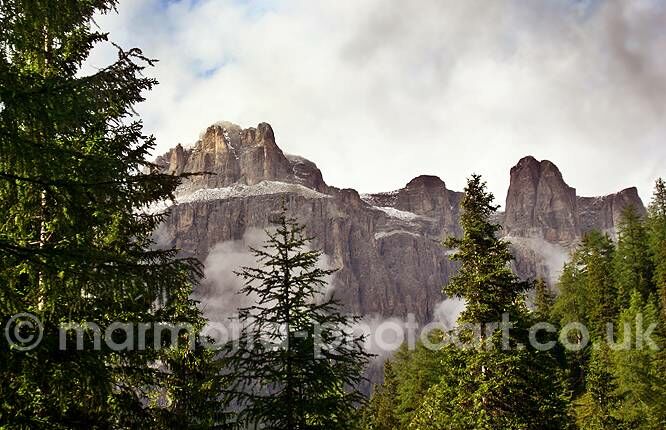 Click to See Next Image