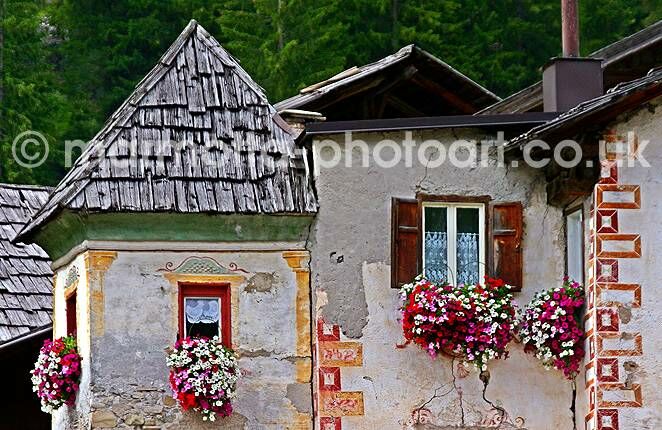 Click to See Next Image