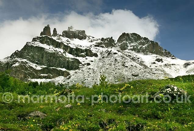 Click to See Next Image