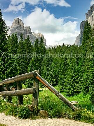 Click to See Next Image