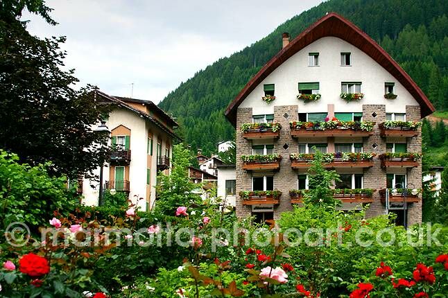 Click to See Next Image