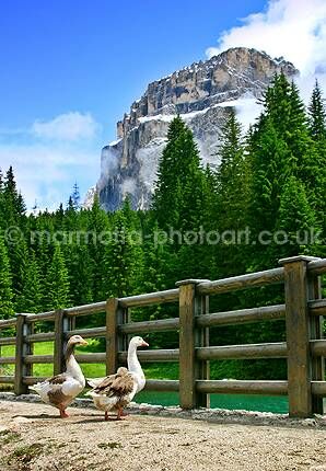 Click to See Next Image