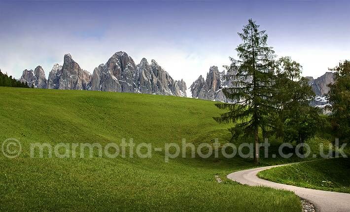 Click to See Next Image