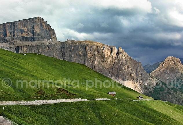 Click to See Next Image