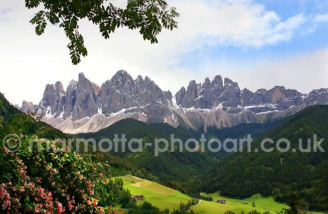 Click to See Next Image