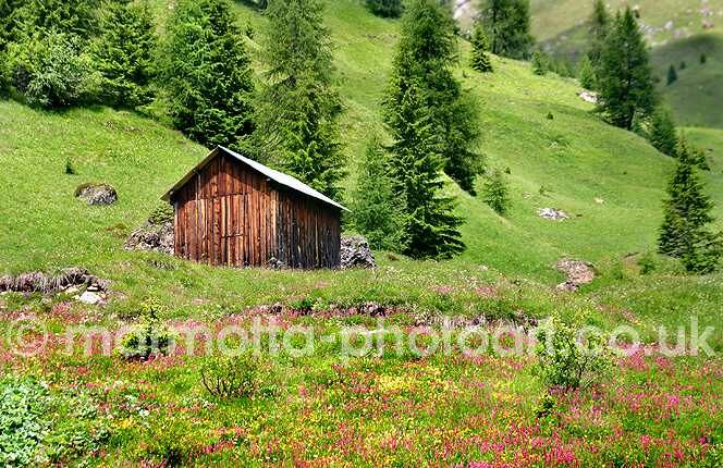 Click to See Next Image