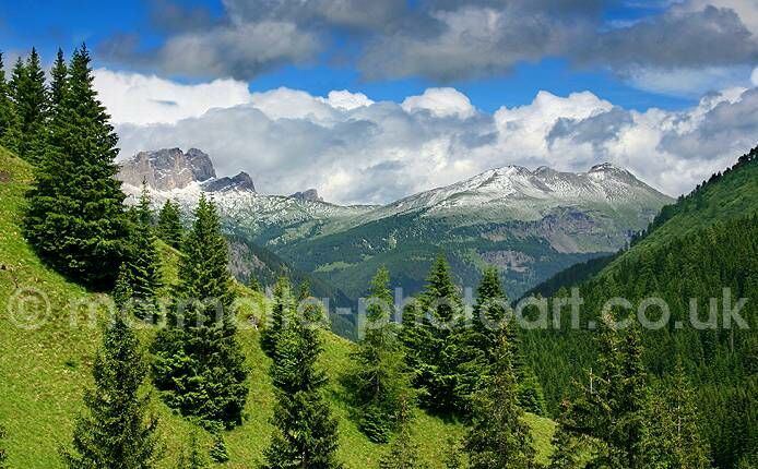 Click to See Next Image