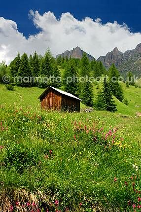 Click to See Next Image