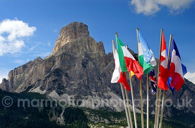 Click to See Next Image