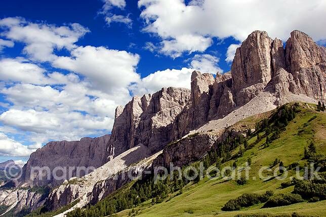 Click to See Next Image