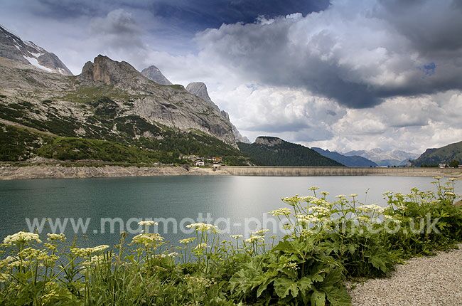 Click to See Next Image