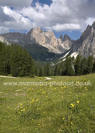 Click to See Next Image