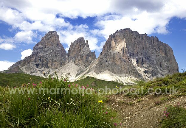 Click to See Next Image