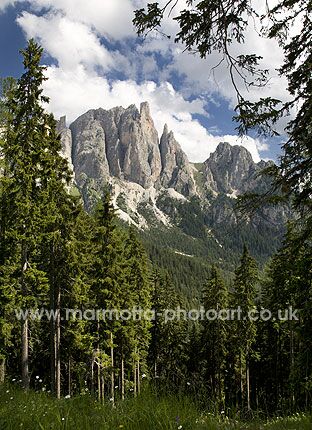 Click to See Next Image