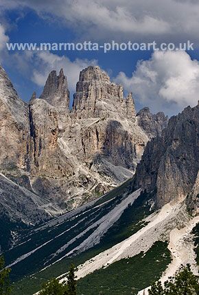 Click to See Next Image