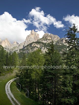 Click to See Next Image