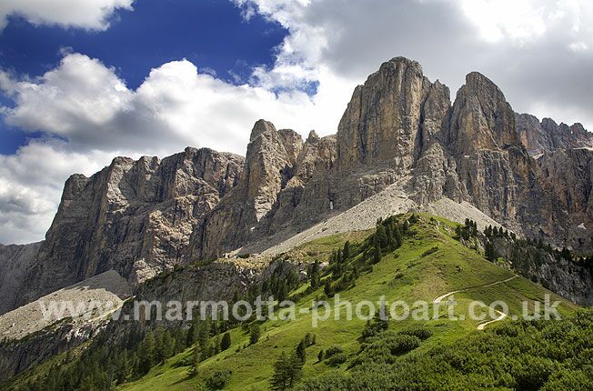 Click to See Next Image