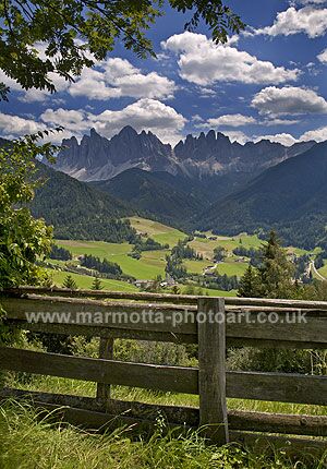 Click to See Next Image