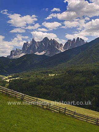 Click to See Next Image