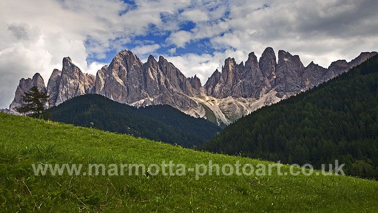 Click to See Next Image