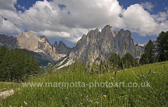 Click to See Next Image