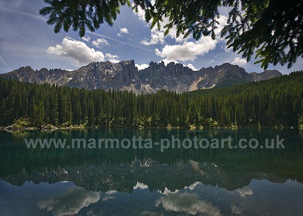 Click to See Next Image