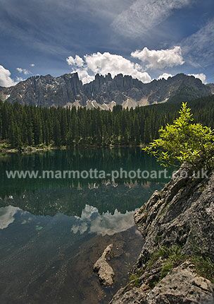 Click to See Next Image