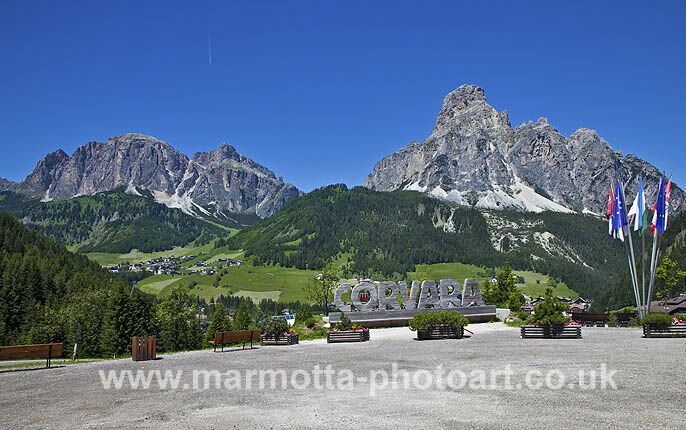 Click to See Next Image