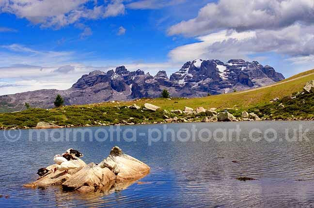 Click to See Next Image