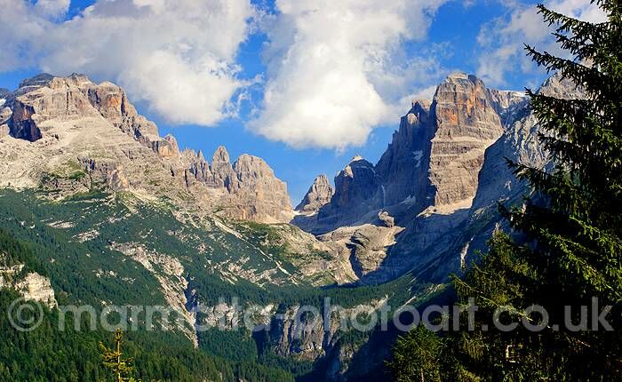 Click to See Next Image