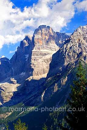 Click to See Next Image