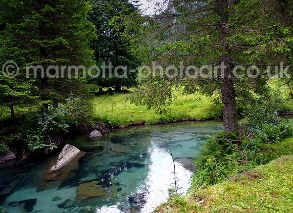 Click to See Next Image