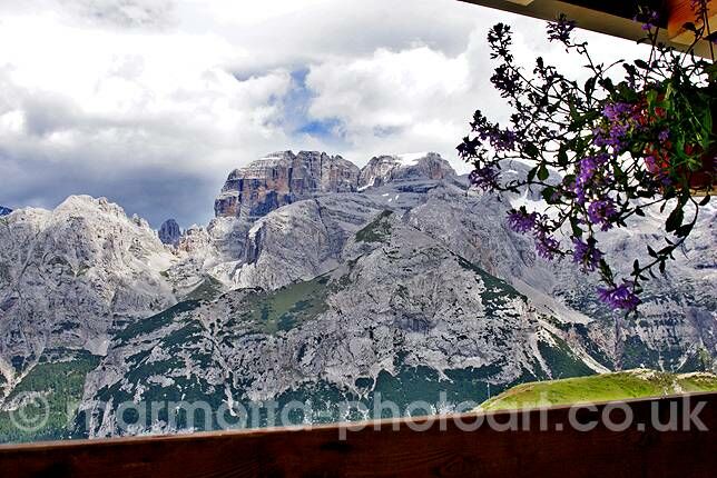 Click to See Next Image