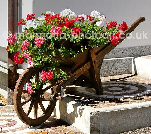 Click to See Next Image