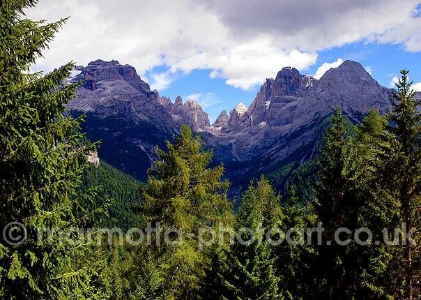 Click to See Next Image